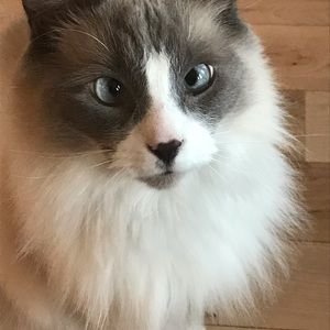 Meet your Posher, Lynne